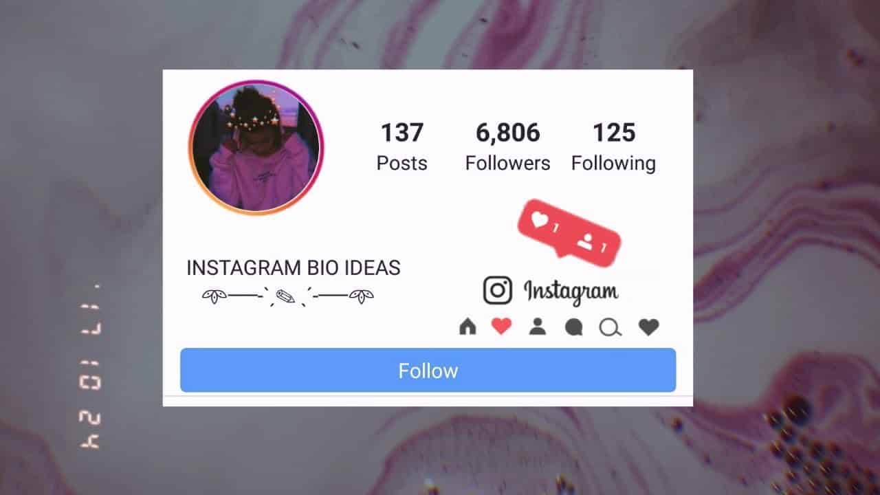 Aesthetic Instagram Bio Template